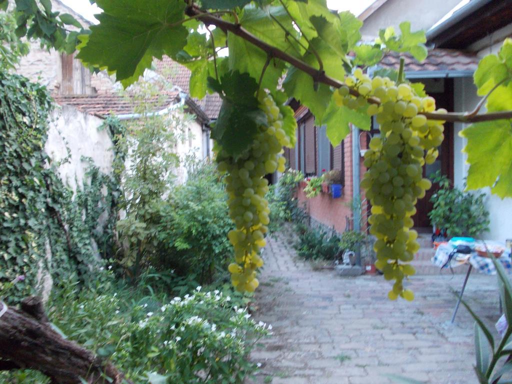 Sobe Gajic Sremski Karlovci Bagian luar foto
