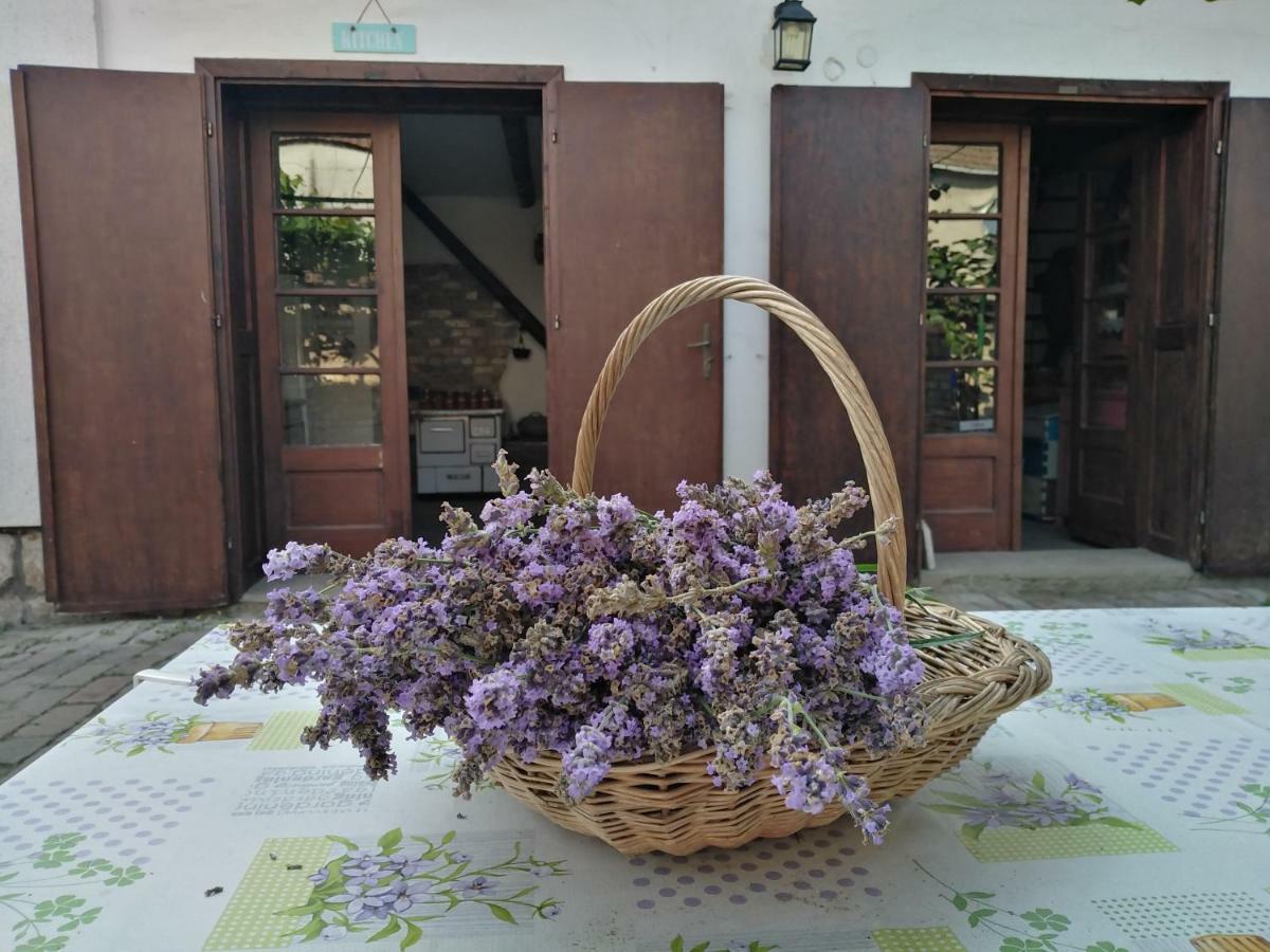 Sobe Gajic Sremski Karlovci Bagian luar foto